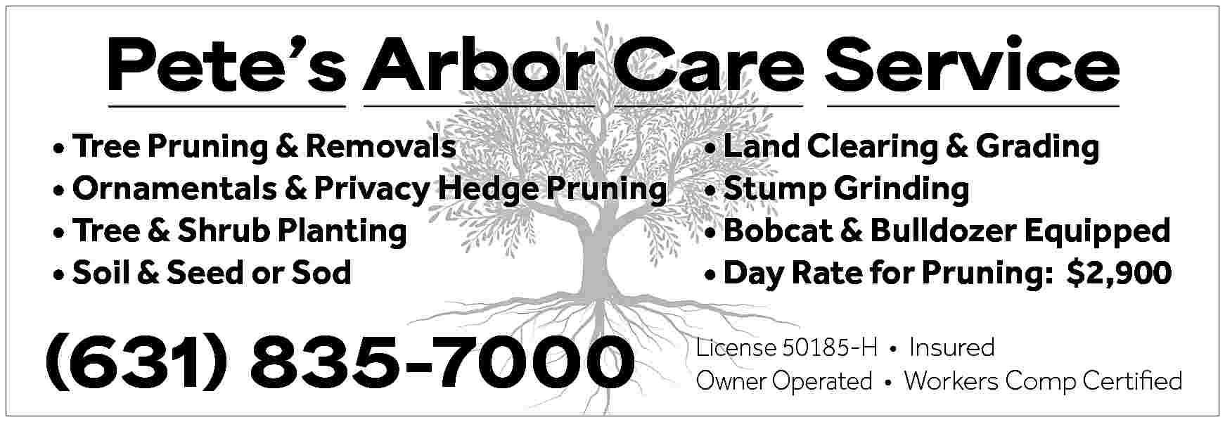 Pete   s Arbor  Pete   s Arbor Care Service      Tree Pruning & Removals      Ornamentals & Privacy Hedge Pruning      Tree & Shrub Planting      Soil & Seed or Sod    (631) 835-7000        Land Clearing & Grading      Stump Grinding      Bobcat & Bulldozer Equipped      Day Rate for Pruning: $2,900  License 50185-H     Insured  Owner Operated     Workers Comp Certified     